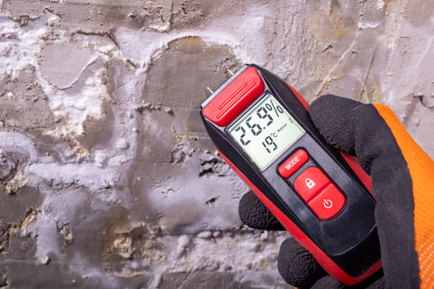 Best Water Damage Restoration  in Cokato, MN