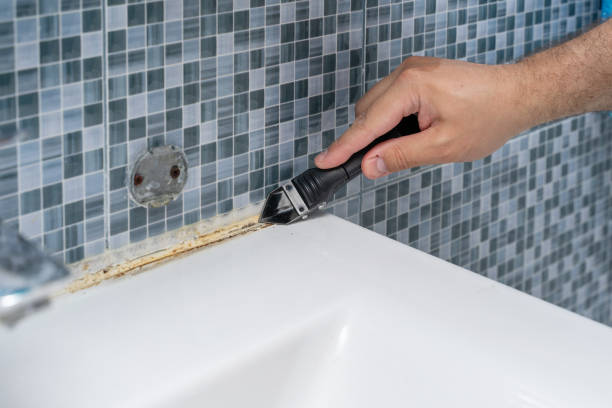 Best Professional Mold Removal  in Cokato, MN